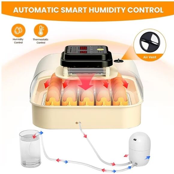 30 Egg Incubator with Humidity Display, Egg Candler, Automatic Egg Turner - Picture 6 of 8